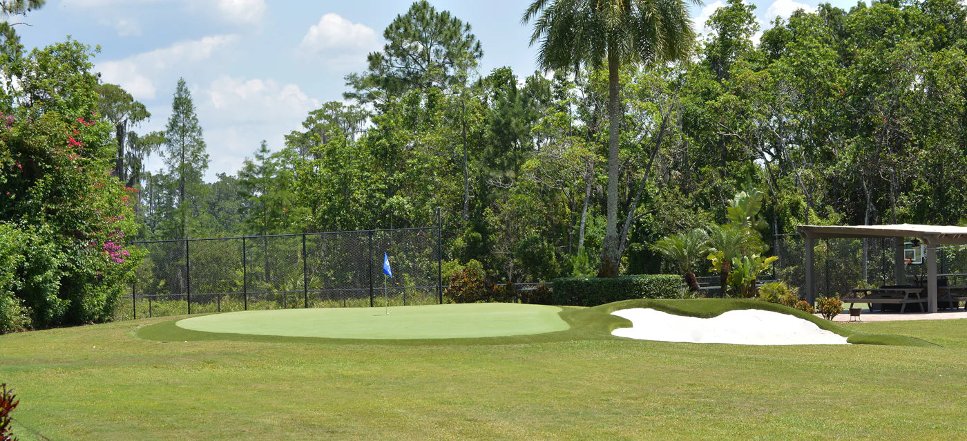 Bring Tour-Level Play Home: Annika Sörenstams Artificial Greens