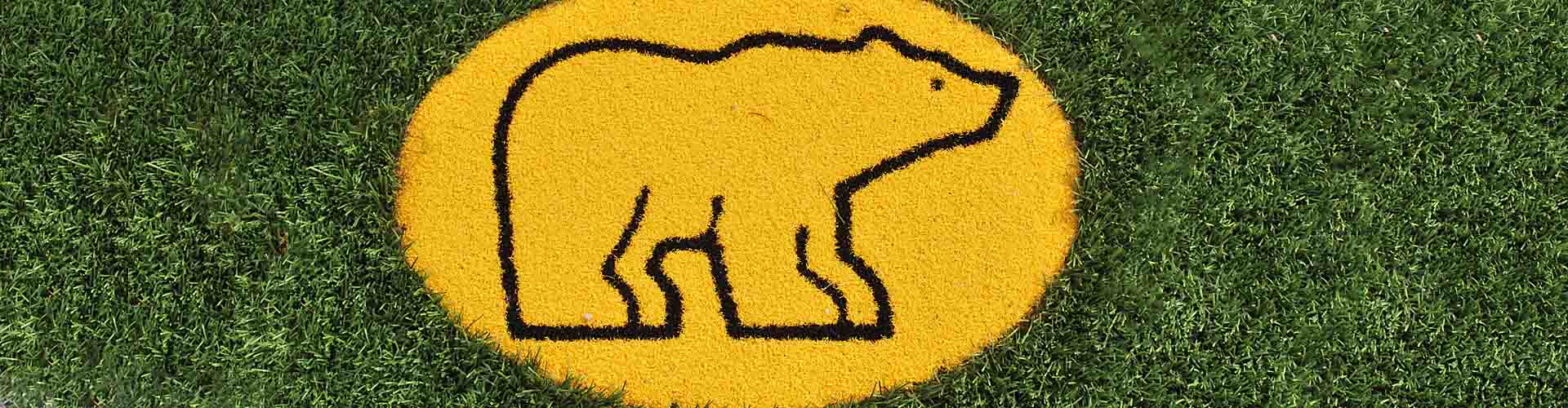 Gold Bear Turf: The Gold Standard of Backyard Putting Greens Playability