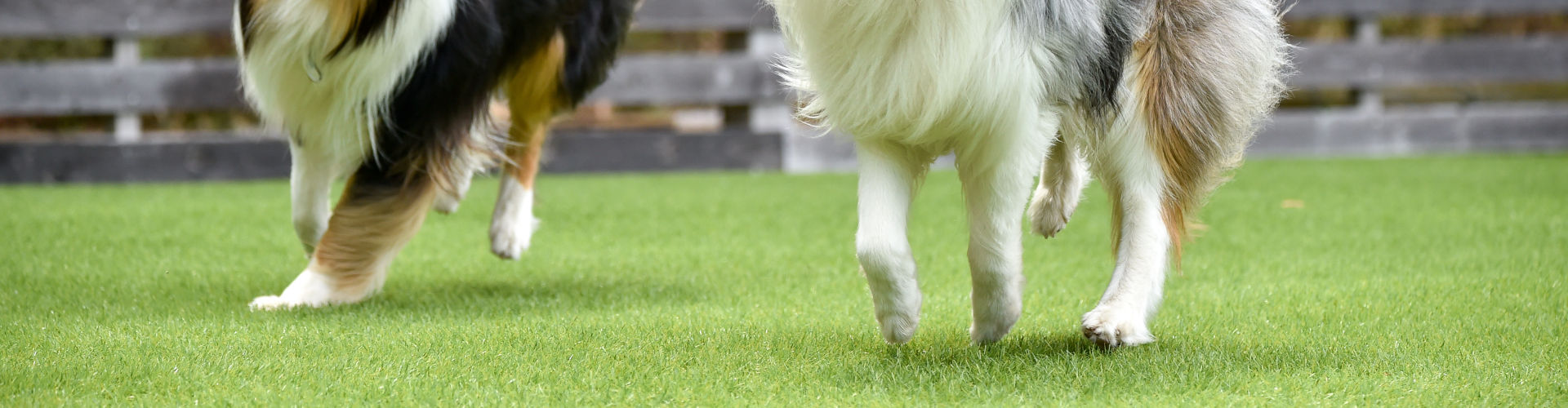 Natural & Non-Toxic: The Eco-Friendly Benefits of K9 Sand for Pet Turf