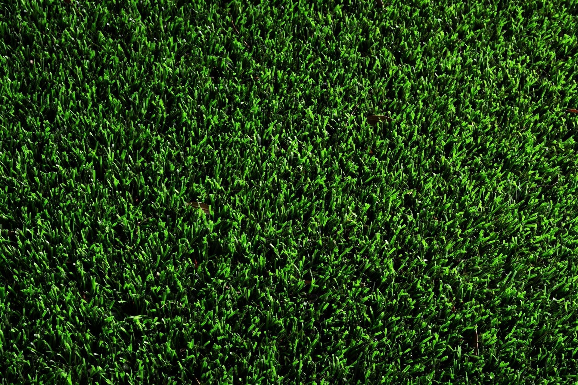 Is Switching to Artificial Turf Worth It?
