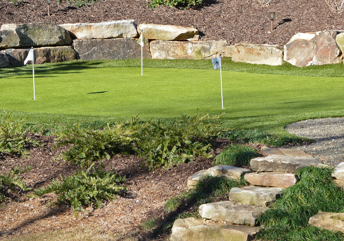 Top Trends For Edmonton Backyard Golf Putting Greens