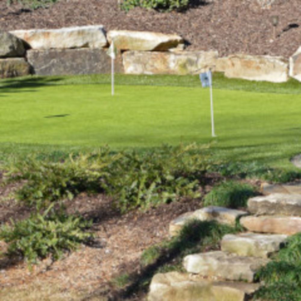 Top Trends For Edmonton Backyard Golf Putting Greens